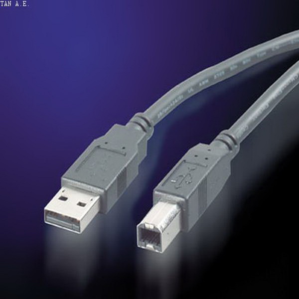 ROLINE USB CABLE TYPE A-B V.2.0 3.0 M MAYΡΟ