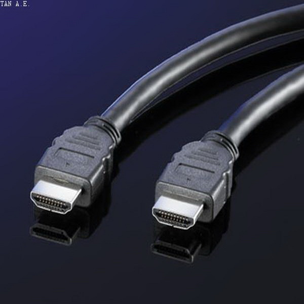 ROLINE ΚΑΛΩΔΙΟ HDMI 3M  V1,3