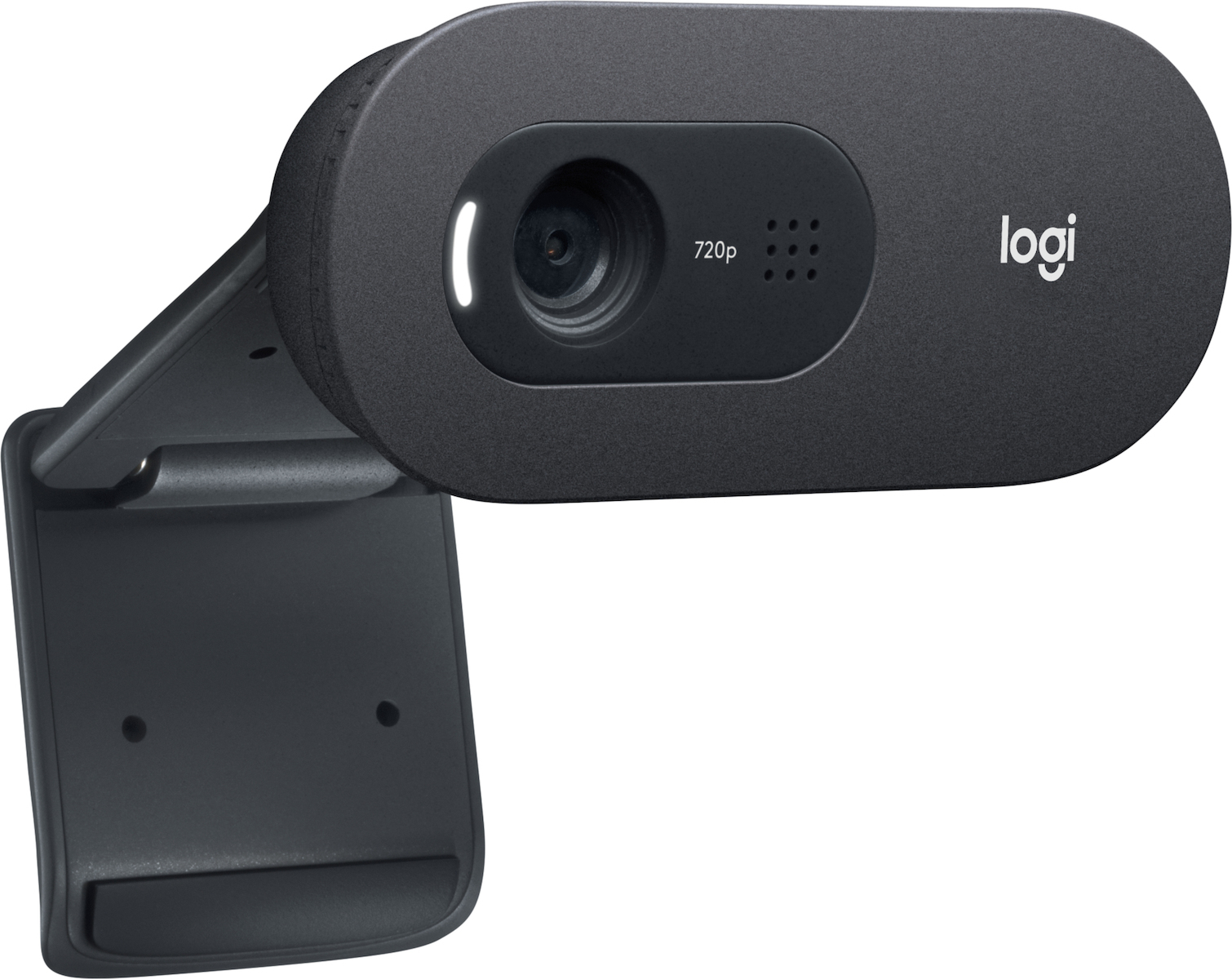 Logitech C505e  HD webcamera