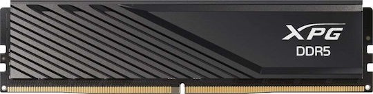 Adata Lancer 32 GB DDR5-5600 1x32GB