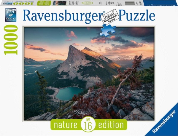 RAVENSBURGER PUZZLE - WILD NATURE  1000PCS   15011