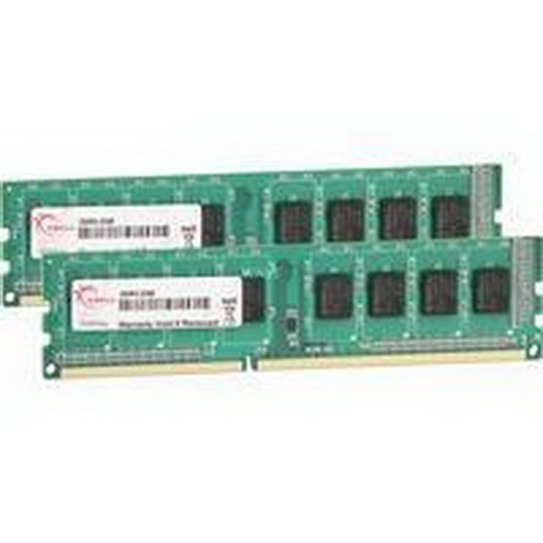 G.SKILL DDR3 DIMM 4 GB DDR3-1333 KIT MEMORY F3-10600CL9D-4GBNS, NS SERIES, LITE RETAIL