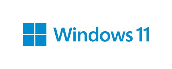 Windows 11 Pro 64-bit English DSP FQC-10528