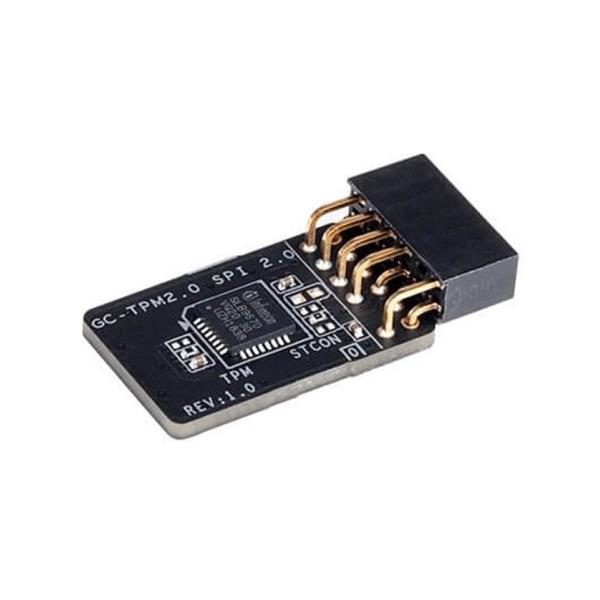 GIGABYTE MODULO TPM  GC-TPM2.0 SPI 2.0 GC-TPM2.0_SPI_2.0