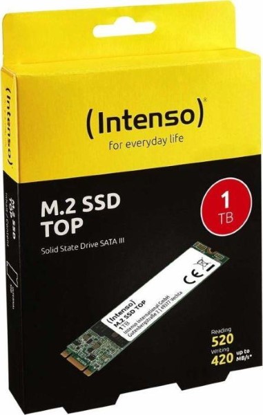 INTENSO  SSD 1.0TB TOP PERFORM M.2 SATA